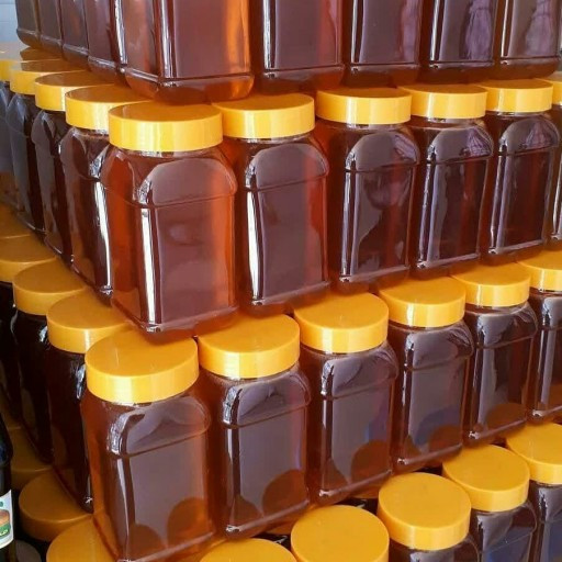 عسل گون خاص دیابتی ها--رفع کم خونی با ساکارز دو درصد